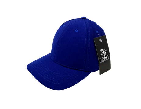 Boné Liso Azul Royal Guepard Aba Curva